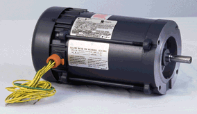 Hazardous Duty Motor