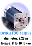 Click to view our BMR2200 Series Brushless Motors!