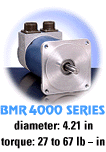 Click to view our BMR4000 Series Brushless Motors!
