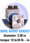 Click to view our BNR3000 Series Brushless Motors!