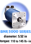 Click to view our BNR5000 Series Brushless Motors!